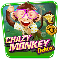 bc8-crazy-monkey